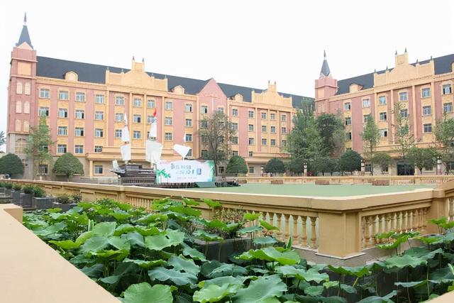 初中毕业可以报读幼师吗(初中毕业怎样报读卫校)
