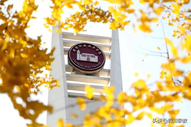 成都职业技术学院单招考试内容(成都航空职业技术学院官网)