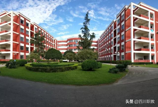 四川托普职业技术学校(四川托普职业技术学院教务系统)