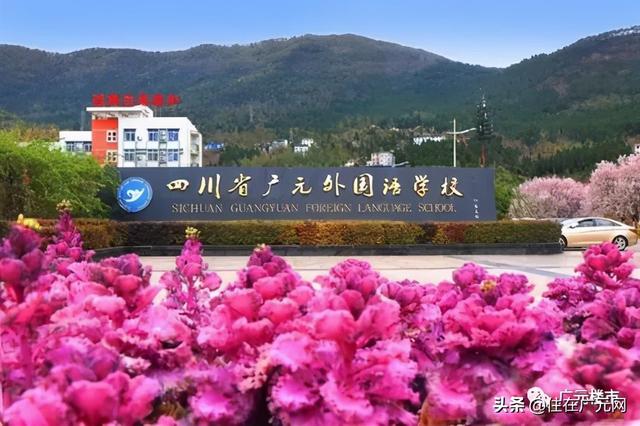 广元市城北职业中学(广元职高校长)