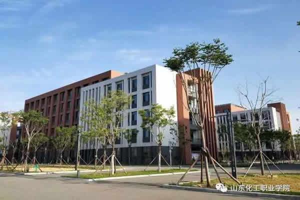 初中毕业能读的学校(初中毕业400多分读什么学校)