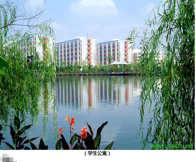 四川城市技师学校学费(哪里有学四川职业学校学费)