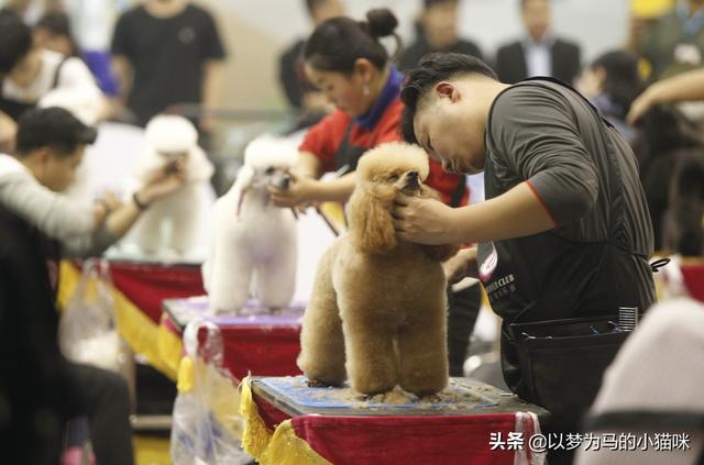 女生大专学什么专业好(大专都有什么专业适合女生的)