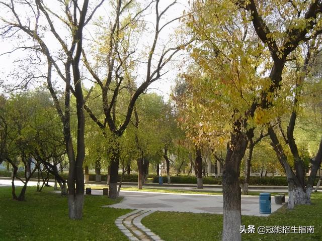 成都成工科技工程技工学校学费(成都成工科技工程技工学校学费多少)