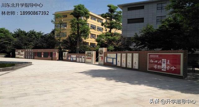 仁寿县华达综合高中学校(仁寿县华达综合高中学校分数)图3