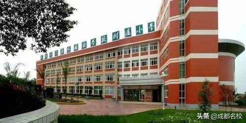成都最贵的学校学费一年多少(泡桐树小学学费)