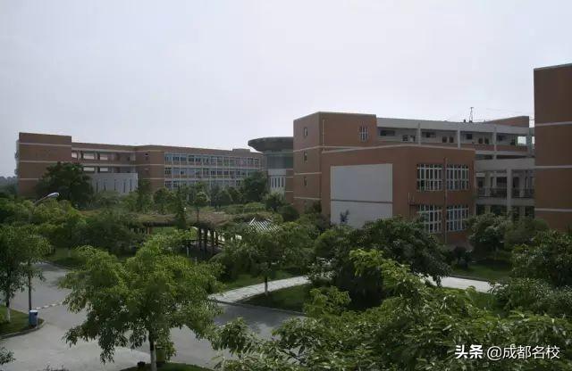成都最贵的学校学费一年多少(泡桐树小学学费)