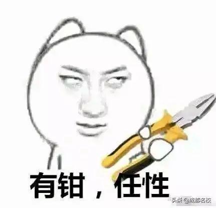 成都最贵的学校学费一年多少(泡桐树小学学费)