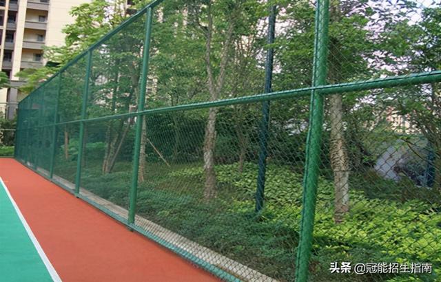四川成都职业学校护理的简单介绍
