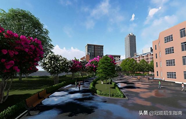 成都职高学校学费一年是多少(公办职高学校一年学费)