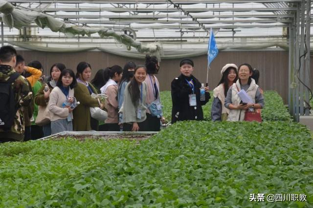 德阳高铁学校(德阳高铁站在哪里)