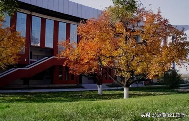 成都职业计算机学校(成都计算机学校电话)