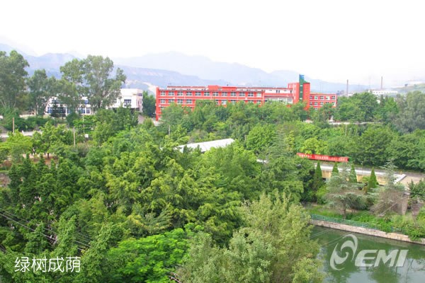 攀枝花技师学院(攀枝花技师学院是大专吗)图3