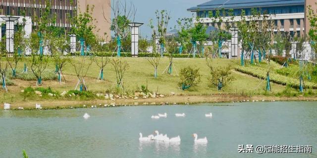 成都的幼师专业学校(成都幼师专业学校有哪些职校)