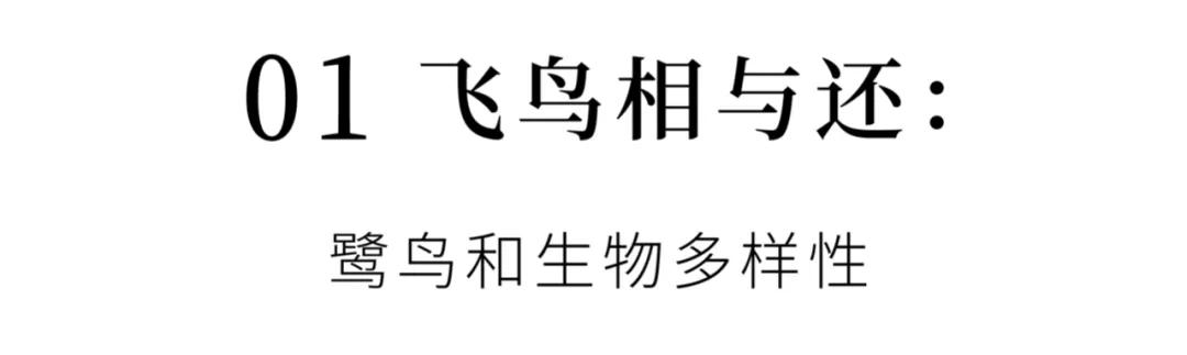 成都希望职业技术学校官网(成都航空职业技术学校招生官网)