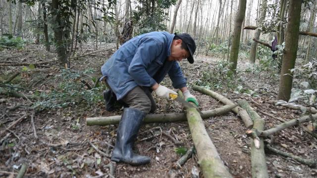 成都希望职业技术学校官网(成都航空职业技术学校招生官网)