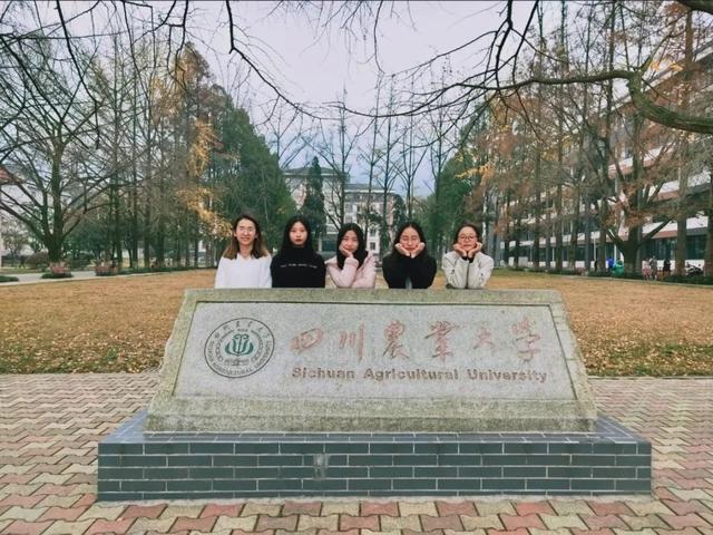 攀枝花职业学校(四川攀枝花卫校)