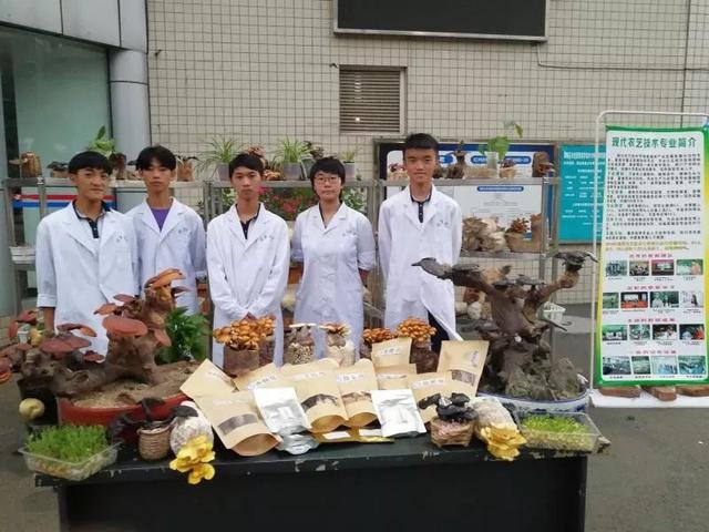 攀枝花职业学校(四川攀枝花卫校)