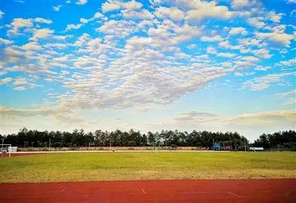 四川幼儿师范学校有哪些(四川幼师学校排名表)
