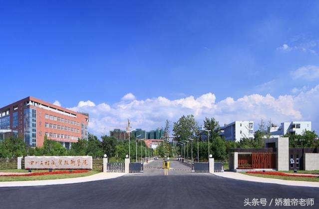 四川公办职业技术学院(资阳市公办好职业技术学院)