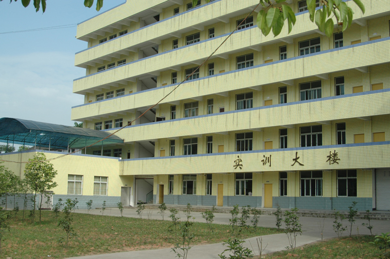 宜宾有哪些职业学校(四川宜宾职业技术学校)