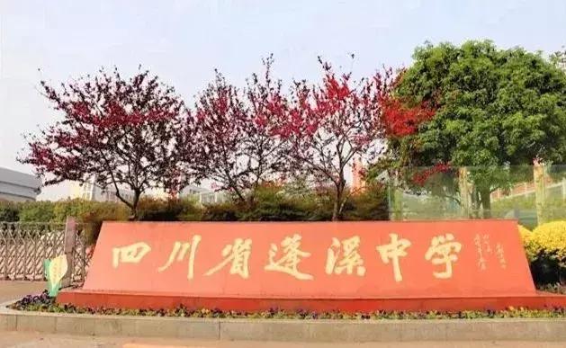 四川学校哪个好(四川文化艺术学院)