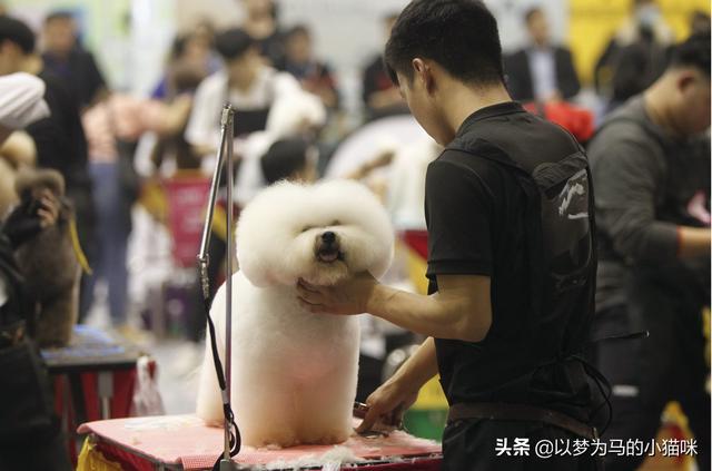 男生初中学历学什么技术(男生初中学历学什么技术好)
