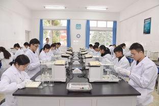 四川公办学校中专(四川中专中职学校排名)