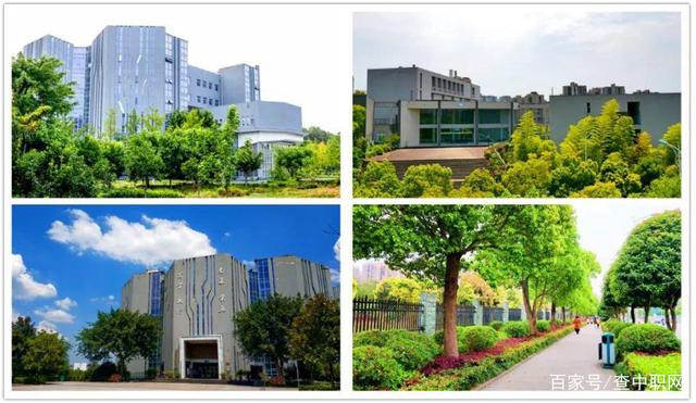 四川电竞职业学校(重庆电竞职业学校)