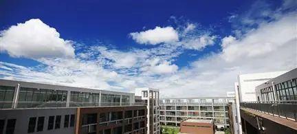 绵阳幼教学校(绵羊油娇嫩补水保湿霜)