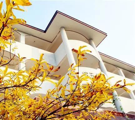 绵阳幼教学校(绵羊油娇嫩补水保湿霜)