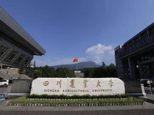 雅安高铁学校(四川高铁招生)