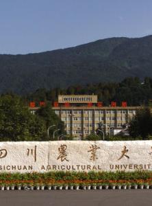 雅安高铁学校(四川高铁招生)