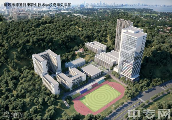 成都德圣职业学校(清远市德圣健康职业学校怎么样)
