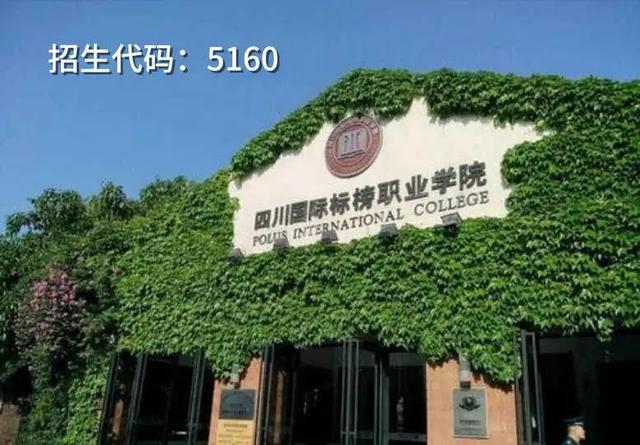 包含四川有护理专业学校的词条