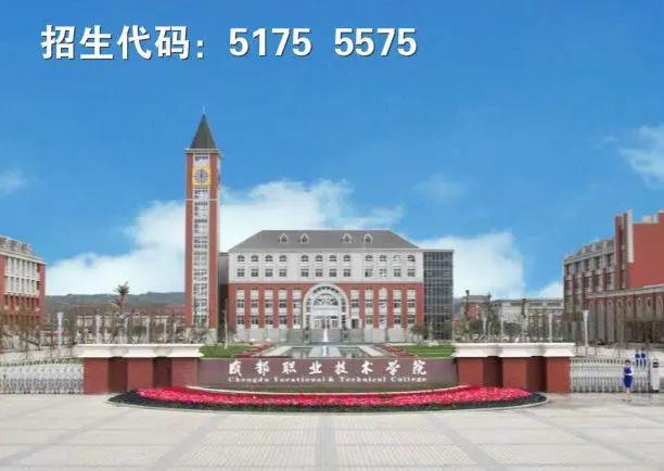 包含四川有护理专业学校的词条