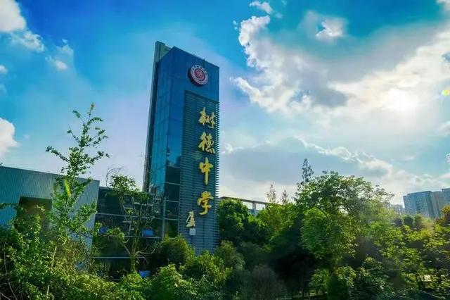 成都十大国际学校(成都国际学校收费标准)