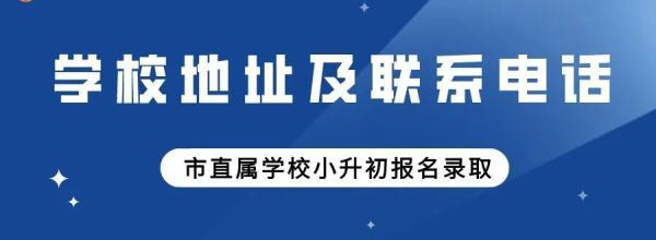 包含新都一职高升学班分数线的词条