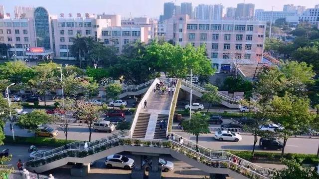 阳江职业技术职业学院(阳江职业技术职业学院位置)
