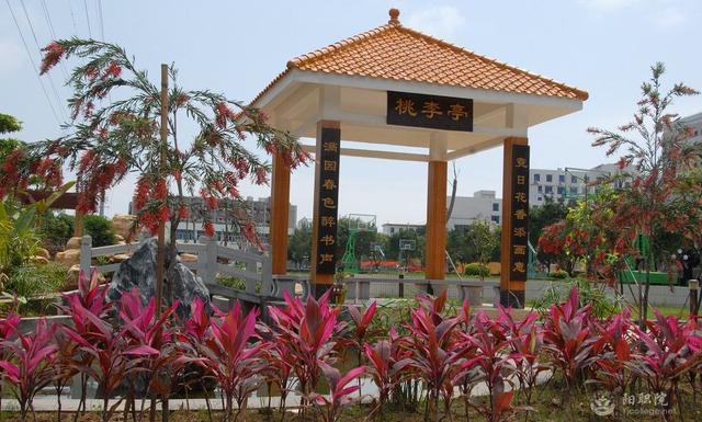阳江职业技术职业学院(阳江职业技术职业学院位置)