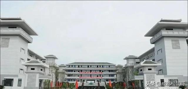 成都最好的初中是哪几所学校(成都初中学校排名2020)