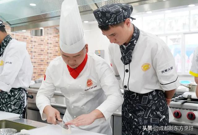 初中考不上高中读哪所学校好(初中考不上高中怎么办有哪些出路知乎)