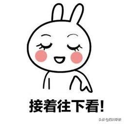 四川有那些职业学校(四川有哪些职业技术学院)