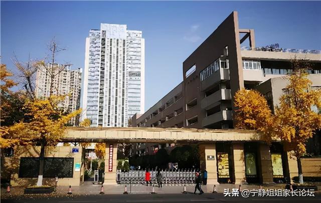 成都艺术中学有哪些(双流艺体中学招生要求)