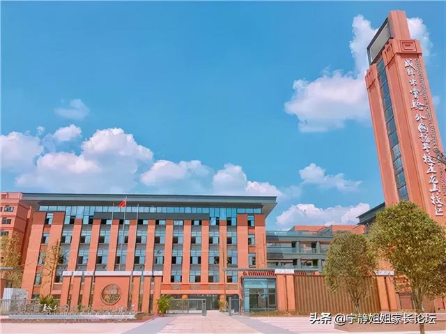 成都艺术中学有哪些(双流艺体中学招生要求)
