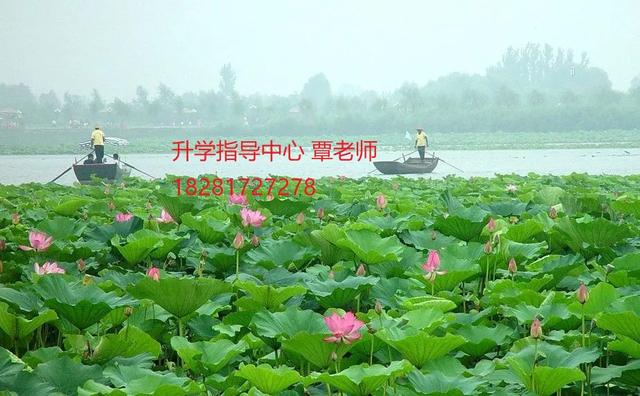 四川省蓬溪县中等职业技术学校(四川省蓬溪县中等职业技术学校招标网)