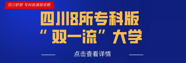 四川省轻工工程学校是公办还是民办(眉山太和有什么职业学校)