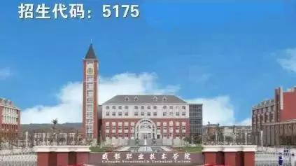成都高职高专学校(成都高职高专院校排名)