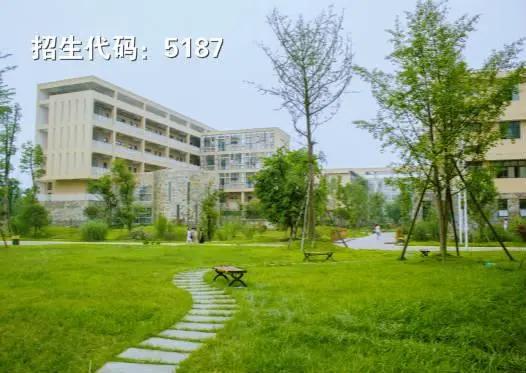 成都高职高专学校(成都高职高专院校排名)