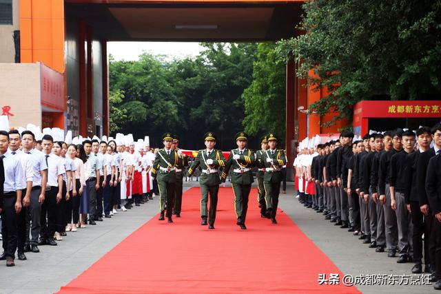 初中毕业可以去的学校是(初中毕业可以去设计学校吗)